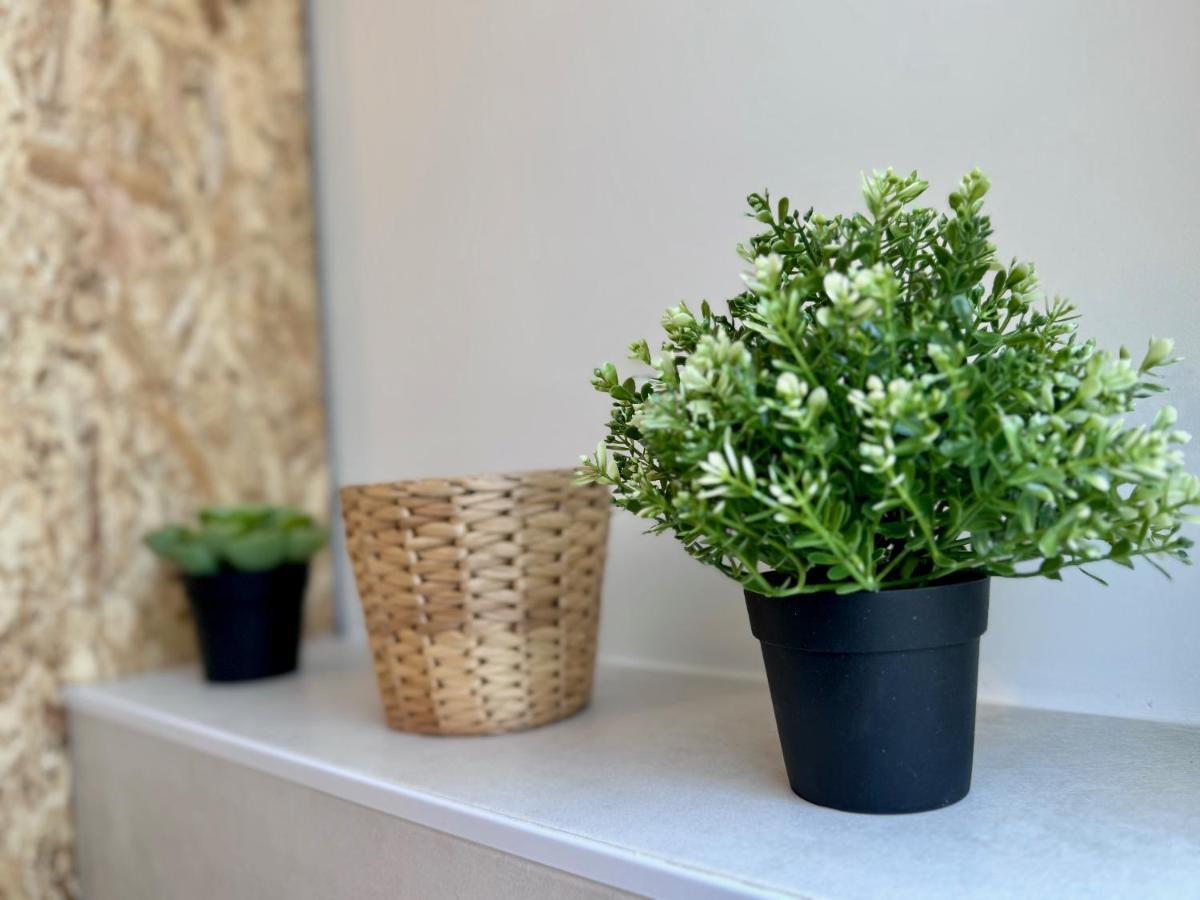Apartment Chaleureux T2 Proche Gare
