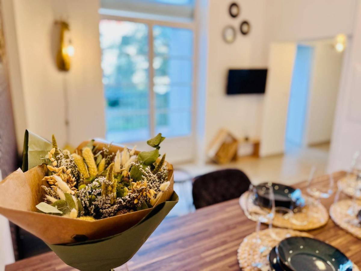 Apartment Chaleureux T2 Proche Gare